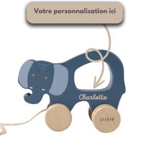 Animal à tirer éléphant, jouet pour bébé