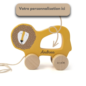 Animal lion à tirer, jouet pour bébé