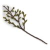 Branche avec feuilles vertes - Gry & Sif