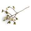 Branche de pommier- Gry & Sif
