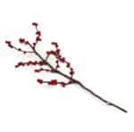 18021-branch with red berries