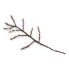 Branche avec baies blanches - Gry & Sif