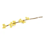 Branche-laine-43cm-jaune