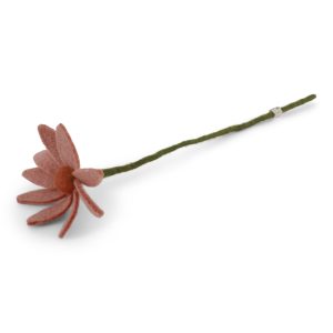 COSMOS Gry and Sif - Pêche