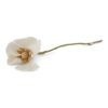 18116 - Blanc - Flower poppy