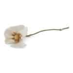 18116 - Blanc - Flower poppy