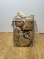 Nounours étui transparent