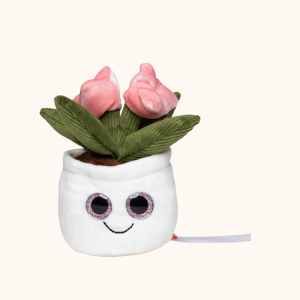 Nettoyeur ecran tulipe goodies entreprise